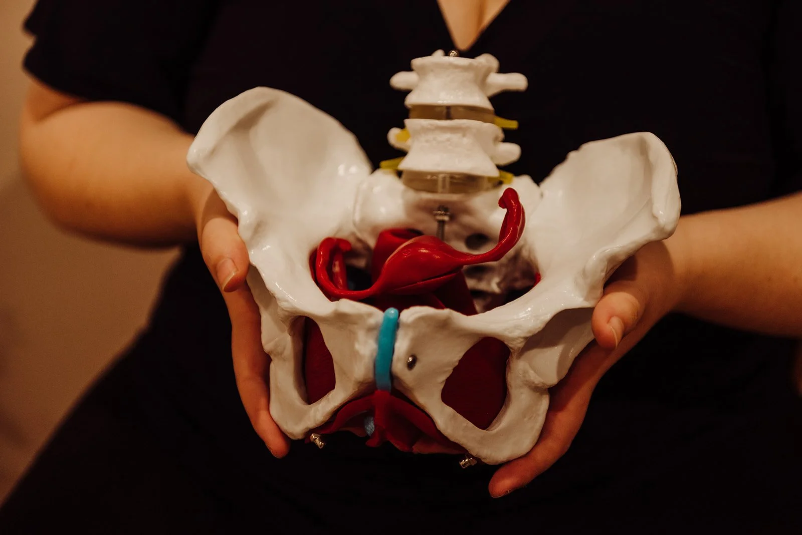 Ostéopathie uro-génitale et pelvi-périnéologie à Lyon